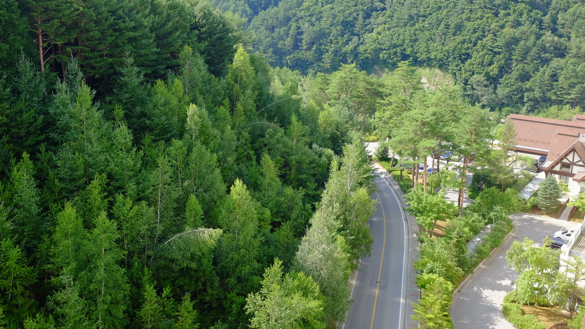 강원도 용평 리조트, 그린피아 콘도 38 후기