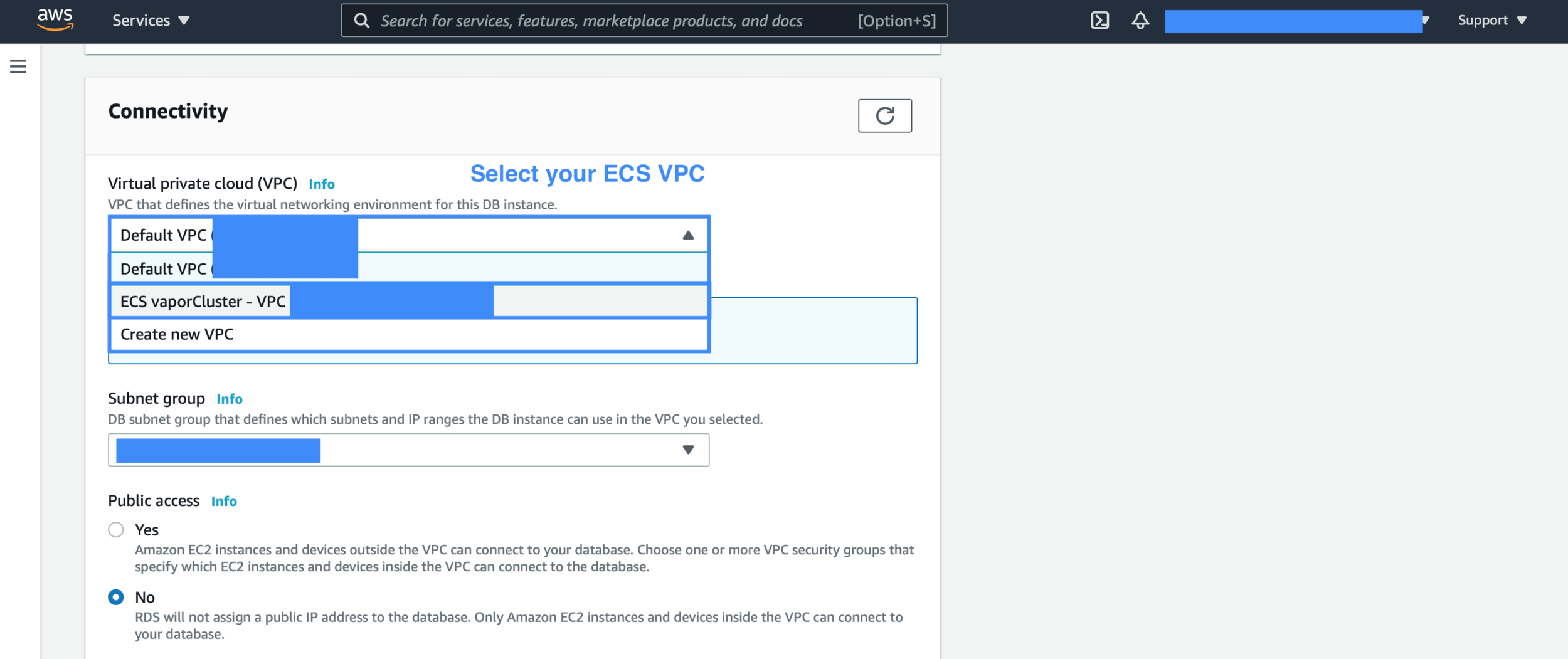 Set your ECS VPC. The subgroup is automatically updated when you select the VPC.